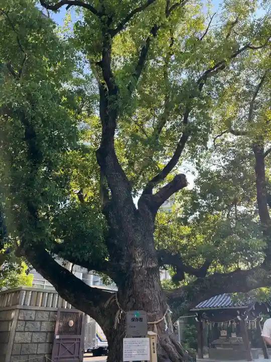 難波神社(大阪府)