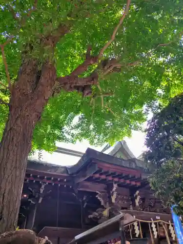 小野照崎神社(東京都)