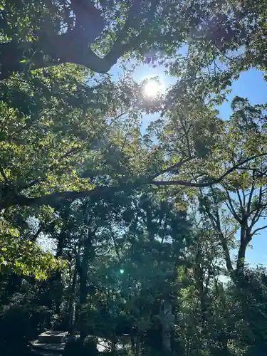 寒川神社(神奈川県)