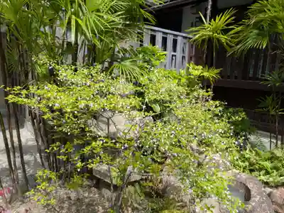 崇覚寺(愛知県)