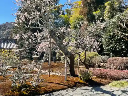 浄妙寺の庭園