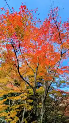 勝尾寺(大阪府)