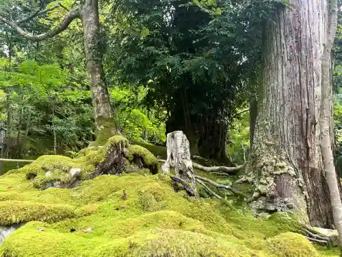 西明寺(滋賀県)