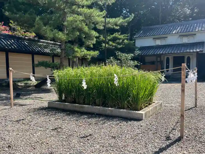 美濃國一宮 南宮大社(岐阜県)