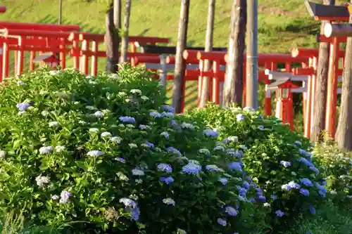 高屋敷稲荷神社の景色