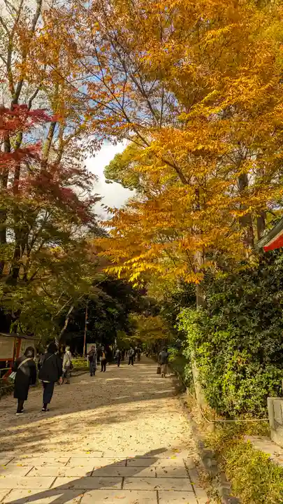 賀茂御祖神社(下鴨神社)(京都府)