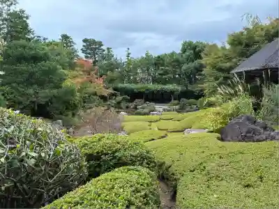 退蔵院(京都府)