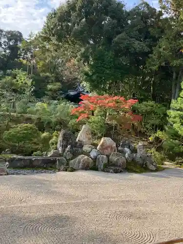 金地院の庭園