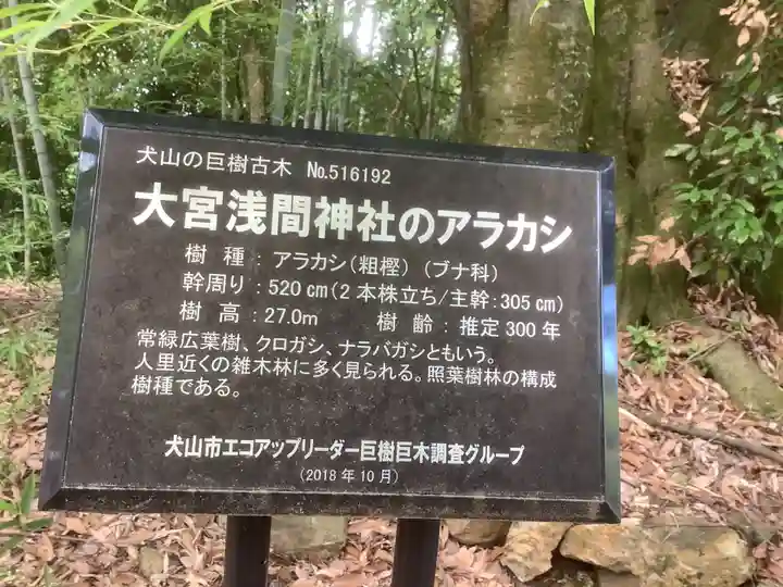 尾張冨士大宮浅間神社のその他建物