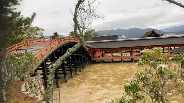 厳島神社の{uncategorized: "未分類", other: "その他", undefined: "問題あり", building: "その他建物", grave: "お墓", sacred_gate: "鳥居", guardian: "狛犬", statue: "像", buddha: "仏像", history: "歴史", nature: "自然", garden: "庭園", animal: "動物", pagoda: "塔", temizu: "手水舎", mountain_gate: "山門・神門", sanctuary: "本殿・本堂", subordinate: "末社・摂社", art: "芸術", scenery: "景色", jizo: "地蔵", ema: "絵馬", goshuin: "御朱印", omikuji: "おみくじ", items: "授与品その他", amulet: "お守り", goshuincho: "御朱印帳", eats: "食事", festival: "お祭り", votive_dance: "神楽", shichigosan: "七五三参", wedding: "結婚式", experience: "体験その他", initially: "初詣", around: "周辺", anti_infection: "感染症対策"}