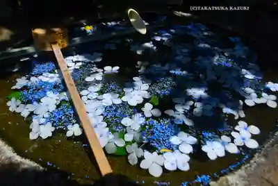 東京羽田 穴守稲荷神社(東京都)