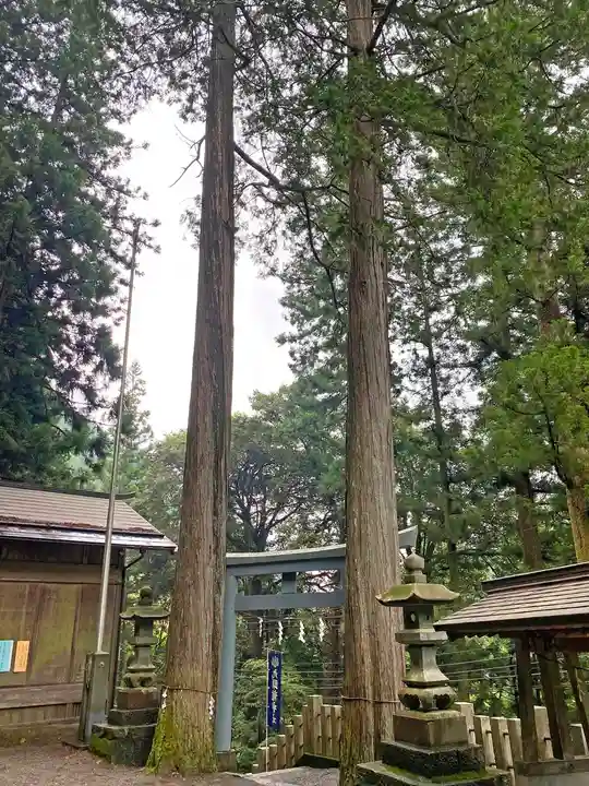 九頭龍神社の鳥居