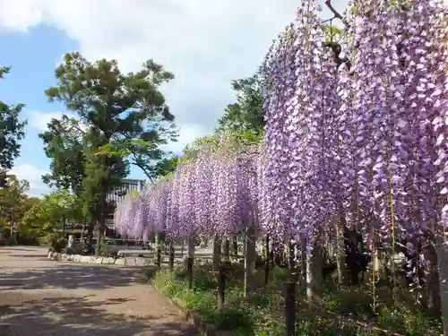三大神社の自然
