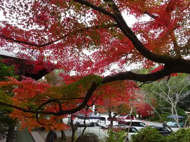 鎌倉宮(神奈川県)