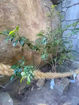 越木岩神社(兵庫県)