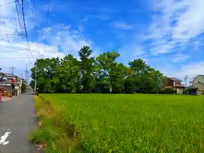 西宮神社の自然