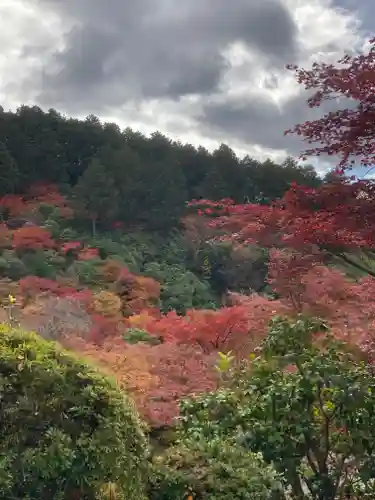 三室戸寺(京都府)