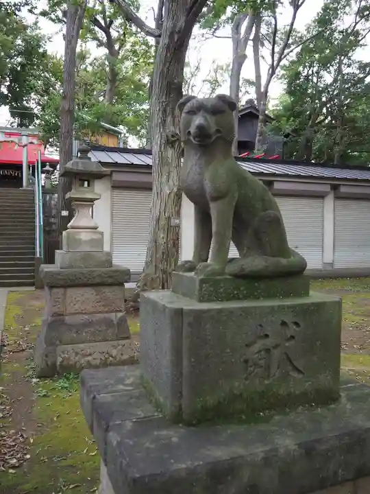 桜川御嶽神社(上板橋御嶽神社)の狛犬