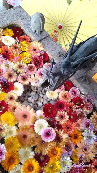 札幌諏訪神社の手水舎