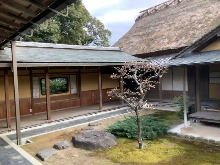 慈光院の{uncategorized: "未分類", other: "その他", undefined: "問題あり", building: "その他建物", grave: "お墓", sacred_gate: "鳥居", guardian: "狛犬", statue: "像", buddha: "仏像", history: "歴史", nature: "自然", garden: "庭園", animal: "動物", pagoda: "塔", temizu: "手水舎", mountain_gate: "山門・神門", sanctuary: "本殿・本堂", subordinate: "末社・摂社", art: "芸術", scenery: "景色", jizo: "地蔵", ema: "絵馬", goshuin: "御朱印", omikuji: "おみくじ", items: "授与品その他", amulet: "お守り", goshuincho: "御朱印帳", eats: "食事", festival: "お祭り", votive_dance: "神楽", shichigosan: "七五三参", wedding: "結婚式", experience: "体験その他", initially: "初詣", around: "周辺", anti_infection: "感染症対策"}