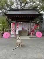 大御和神社の{uncategorized: "未分類", other: "その他", undefined: "問題あり", building: "その他建物", grave: "お墓", sacred_gate: "鳥居", guardian: "狛犬", statue: "像", buddha: "仏像", history: "歴史", nature: "自然", garden: "庭園", animal: "動物", pagoda: "塔", temizu: "手水舎", mountain_gate: "山門・神門", sanctuary: "本殿・本堂", subordinate: "末社・摂社", art: "芸術", scenery: "景色", jizo: "地蔵", ema: "絵馬", goshuin: "御朱印", omikuji: "おみくじ", items: "授与品その他", amulet: "お守り", goshuincho: "御朱印帳", eats: "食事", festival: "お祭り", votive_dance: "神楽", shichigosan: "七五三参", wedding: "結婚式", experience: "体験その他", initially: "初詣", around: "周辺", anti_infection: "感染症対策"}