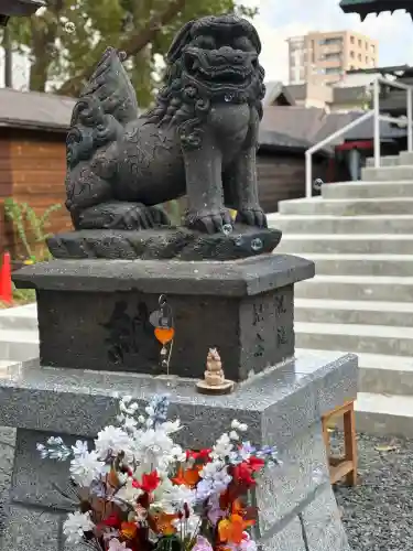 札幌諏訪神社の狛犬