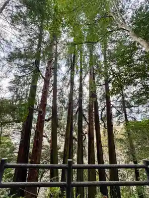 天岩戸神社(宮崎県)