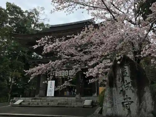 園城寺（三井寺）の山門・神門
