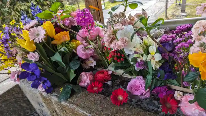 勝林寺(京都府)