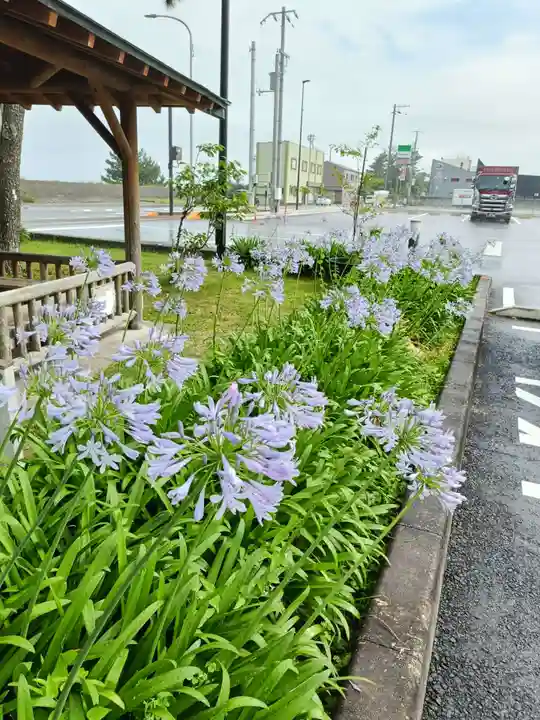 花窟神社の周辺
