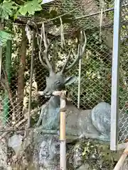 枚岡神社(大阪府)