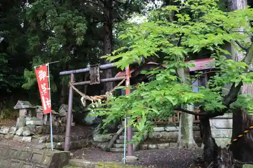 津嶋神社の鳥居