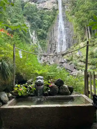 飛瀧神社（熊野那智大社別宮）の{uncategorized: "未分類", other: "その他", undefined: "問題あり", building: "その他建物", grave: "お墓", sacred_gate: "鳥居", guardian: "狛犬", statue: "像", buddha: "仏像", history: "歴史", nature: "自然", garden: "庭園", animal: "動物", pagoda: "塔", temizu: "手水舎", mountain_gate: "山門・神門", sanctuary: "本殿・本堂", subordinate: "末社・摂社", art: "芸術", scenery: "景色", jizo: "地蔵", ema: "絵馬", goshuin: "御朱印", omikuji: "おみくじ", items: "授与品その他", amulet: "お守り", goshuincho: "御朱印帳", eats: "食事", festival: "お祭り", votive_dance: "神楽", shichigosan: "七五三参", wedding: "結婚式", experience: "体験その他", initially: "初詣", around: "周辺", anti_infection: "感染症対策"}
