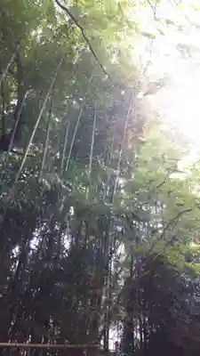 中尊寺(岩手県)