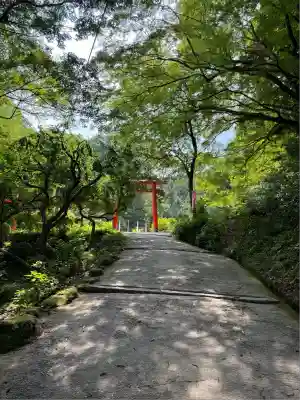 天開稲荷社(福岡県)