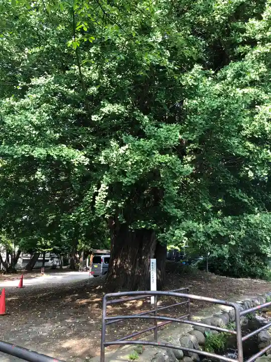 専称寺(山形県)