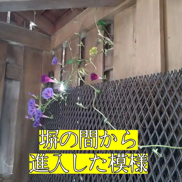 七重浜海津見神社(北海道)