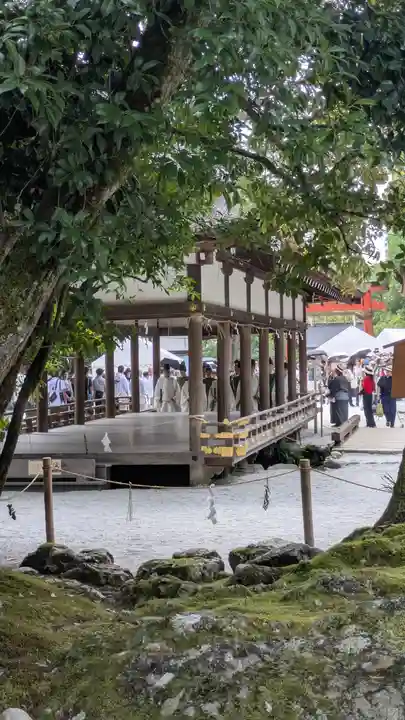 賀茂別雷神社(上賀茂神社)(京都府)