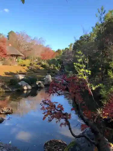 退蔵院の庭園