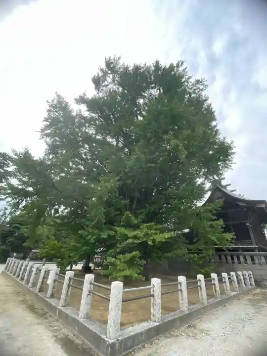 葛飾八幡宮(千葉県)