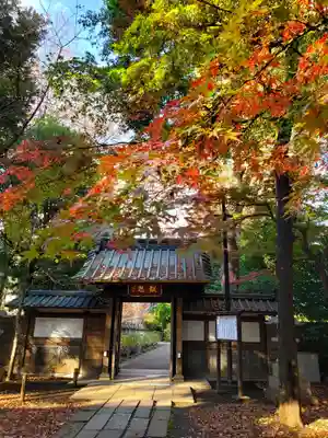 妙法寺(東京都)