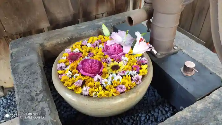 荘厳寺(京都府)