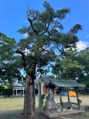 館山神社(千葉県)