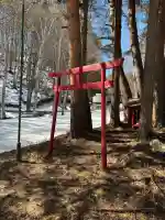 神社の{uncategorized: "未分類", other: "その他", undefined: "問題あり", building: "その他建物", grave: "お墓", sacred_gate: "鳥居", guardian: "狛犬", statue: "像", buddha: "仏像", history: "歴史", nature: "自然", garden: "庭園", animal: "動物", pagoda: "塔", temizu: "手水舎", mountain_gate: "山門・神門", sanctuary: "本殿・本堂", subordinate: "末社・摂社", art: "芸術", scenery: "景色", jizo: "地蔵", ema: "絵馬", goshuin: "御朱印", omikuji: "おみくじ", items: "授与品その他", amulet: "お守り", goshuincho: "御朱印帳", eats: "食事", festival: "お祭り", votive_dance: "神楽", shichigosan: "七五三参", wedding: "結婚式", experience: "体験その他", initially: "初詣", around: "周辺", anti_infection: "感染症対策"}