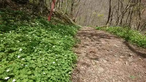 米子不動尊　本坊米子瀧山不動寺(長野県)