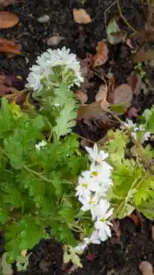 水無瀬神宮(大阪府)