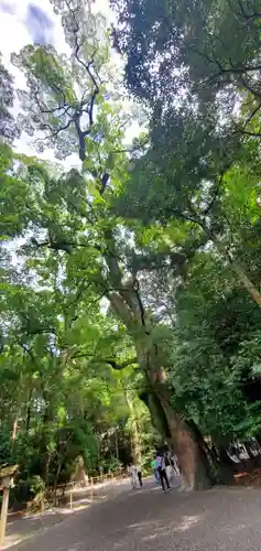 伊勢神宮外宮（豊受大神宮）(三重県)