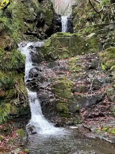 九頭龍神社の自然