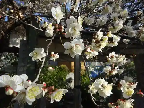 玉眞院玉川大師の自然