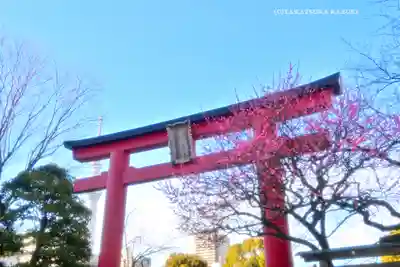 亀戸天神社(東京都)